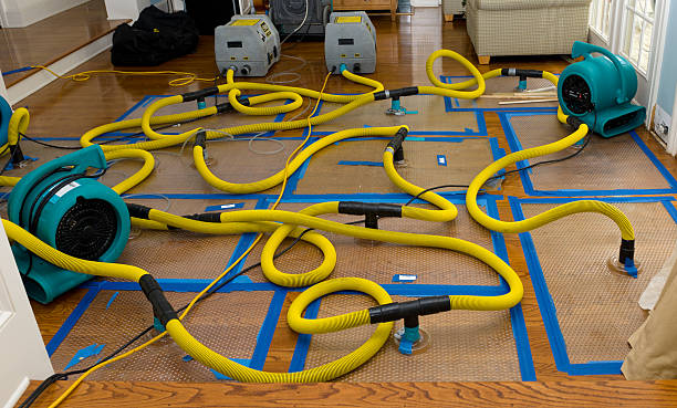 Professional Water Extraction technician working in Stanley, VA